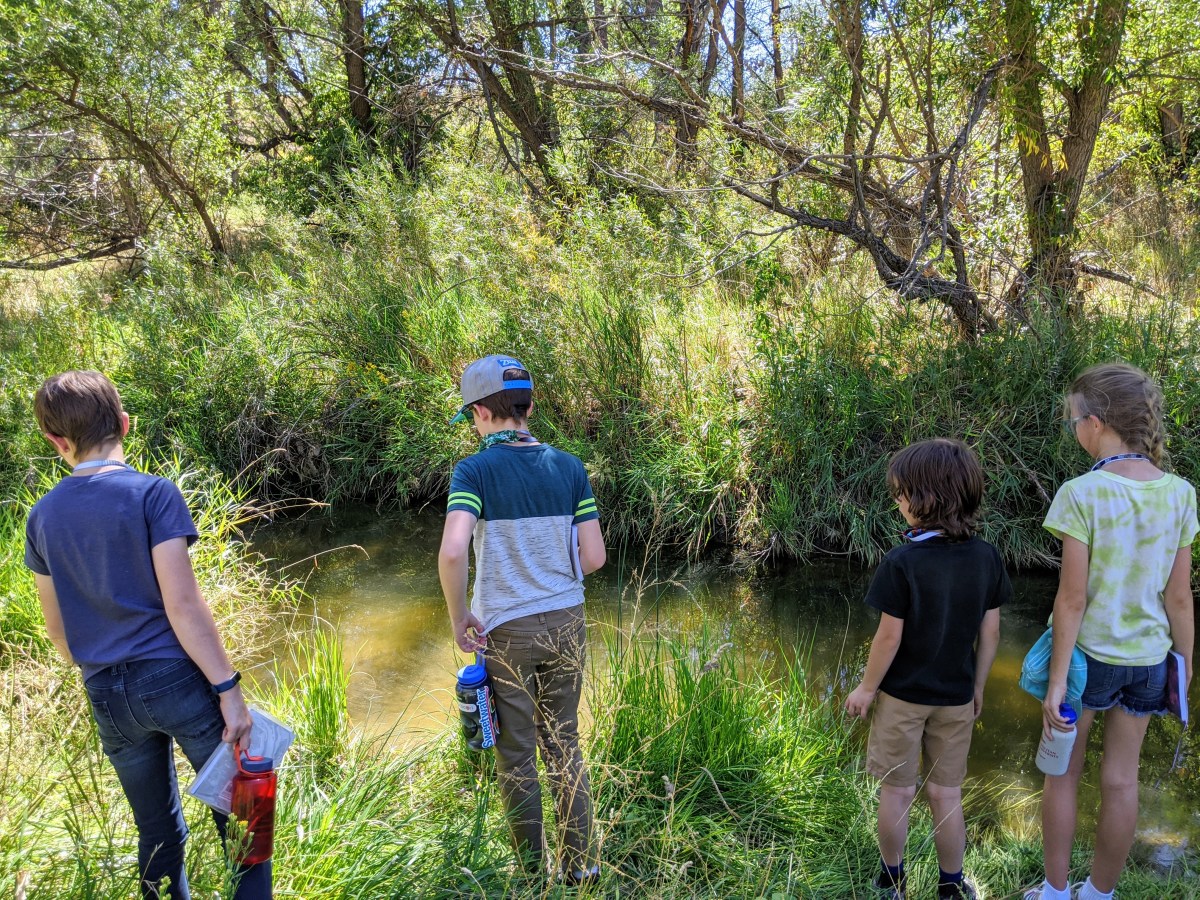 Please Give Me More Responsibilities